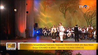 Dănuț Onoiu - Dorul meu nu-i călător - live - Tezaur Folcloric