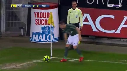 Résumé Rennes - Saint-Etienne but Neven Subotic 0-1