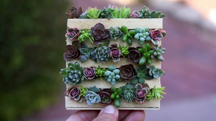 Urban Fairy Garden (Full Version) // Garden Answer