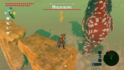 How to Defeat Molduking Quickly and Efficiently (Divine Beast Tamer's Trial)