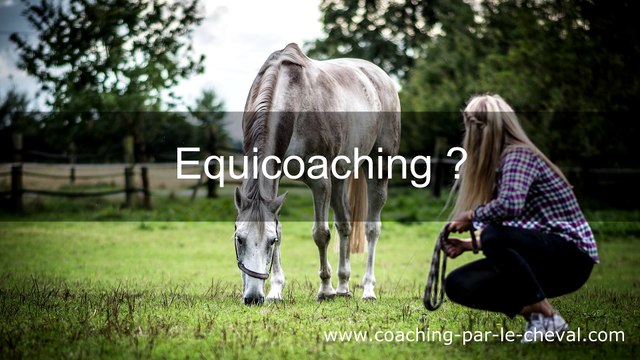 Découvrez le Horse Coaching au Salon du Bien-être avec le Cheval