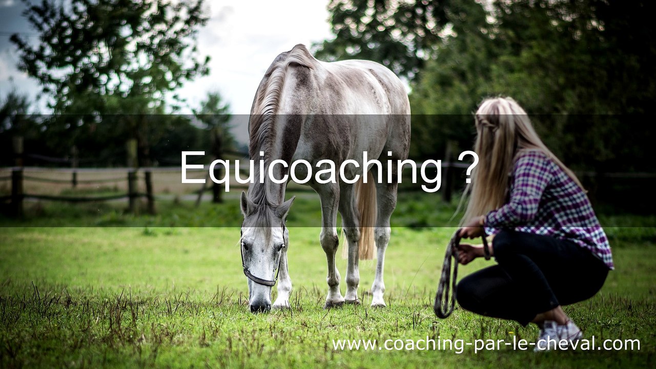 Découvrez le Horse Coaching au Salon du Bien-être avec le Cheval