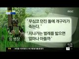 [14/06/26 뉴스투데이] 임 병장 메모 '벌레 비유'...김관진 국방장관 집단따돌림 언급