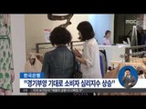 [14/08/27 정오뉴스] 경기부양 기대에 탄력받은 소비심리 한달만에 반등