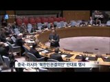 [14/11/19 뉴스데스크] 북한인권결의안 유엔 통과…김정은 등 처벌 근거 마련