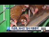 [15/01/17 뉴스투데이] 가금류, 36시간 일시 이동 중지…AI 방역 작업 시행