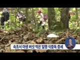 [15/09/13 정오뉴스] 설악산서 야생버섯 먹은 등산객 집단 식중독 증세