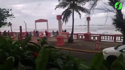 Ils voulaient regarder les vagues de près ils vont etre servi!