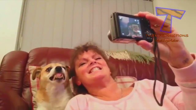 Most Funny Videos 2018 || Stupid Peoples Fails Complilations 2018 || Most Funny Videos 2018