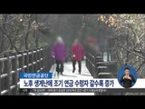 [15/11/25 정오뉴스] 노후 생계난에 국민연금 '조기 수급자' 갈수록 증가