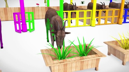 Learn Color & Learn Fruits Goat W Grass Cartoon Nursery Rhymes Song For Children