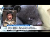 [16/04/03 뉴스데스크] 지리산에 '경사', 반달가슴곰 첫 세쌍둥이 출산