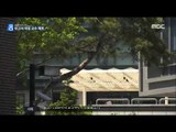 [16/05/04 뉴스데스크] 억대 뒷돈 받고 '옥시 무해보고서' 서울대 교수 체포