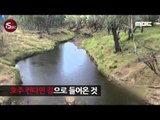 [15sec ] 불붙는 강의 비극