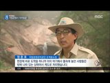 [16/06/25 뉴스데스크] 경고표지판도 아랑곳 않아, 국립공원 '몸살'