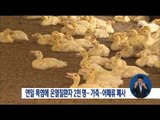 [16/08/21 정오뉴스] 폭염으로 온열질환자 2천 명 육박, 가축·어류 등 폐사