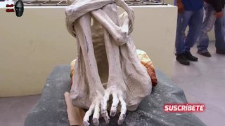 Hallan en Perú una misteriosa momia de un ser 
