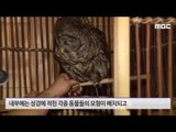 실제 크기 노아의 방주 재현한 테마파크