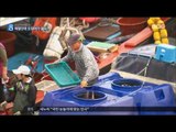 [16/10/30 뉴스데스크] 중국 어선 동해안 '오징어 싹쓸이', 어민 
