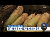 [17/01/08 정오뉴스] 설 앞두고 당근·배추 등 농산물 가격 2배이상 급등