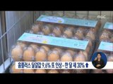 [17/01/07 정오뉴스] 이마트 이어 홈플러스도, 달걀값 또 9.6% 인상