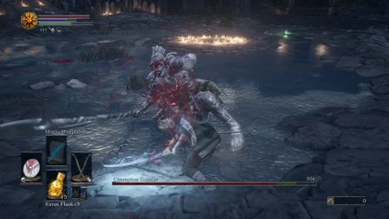 Champion Gundyr Parry ONLY NO Damage Taken