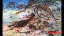 ESCORPIONES GIGANTES: El escorpion mas grande del mundo – Animales salvajes