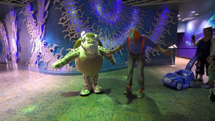 Animals for Children with Blippi | The Sting Ray and Fish!