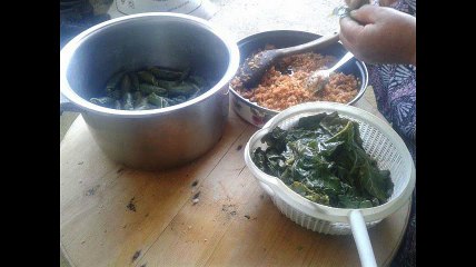 Vakfıkebir Açıkalan Köyü