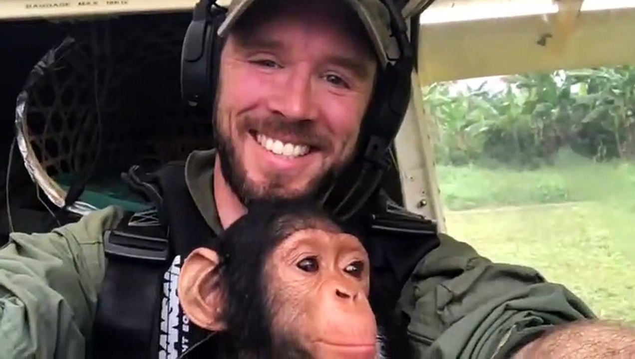 Il sauvent un singe des bracogniers