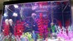 RC Submarine Attacks SPONGEBOB Fish Tank and Kills SQUIDWARD in Bikini Bottom Aquarium Toypals.tv