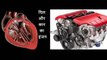 दिल और कार का इंजन  Dil Aur Car Ka Engine