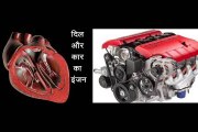दिल और कार का इंजन  Dil Aur Car Ka Engine