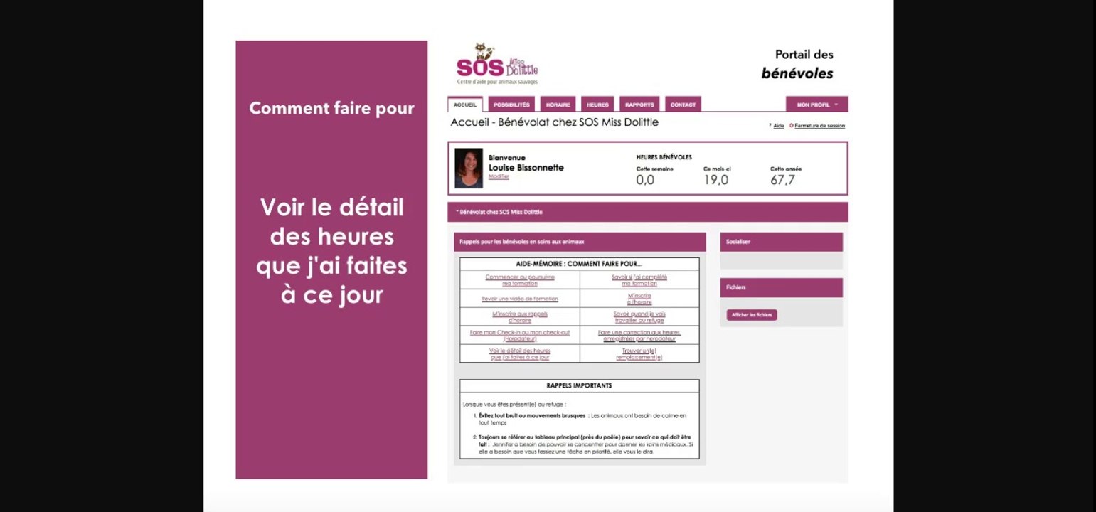 SOS Miss Dolittle - Voir le détail des heures de bénévolat faites à ce jour