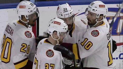 AHL Chicago Wolves 4 at Milwaukee Admirals 3