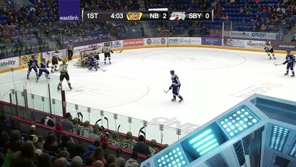 OHL North Bay Battalion 4 at Sudbury Wolves 1