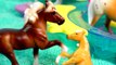 Summer Pool Party - Breyer Horses Stablemates Mares Stallions Foals Horse Water Play Video