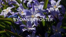Daniel Foster - A Quartet of Joy (String Quartets)