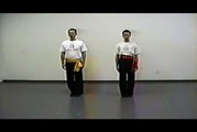 Wing Chun with Terence Yip Bui Tze Part 5