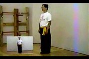 Wing Chun with Terence Yip Chum Kiu Part 2