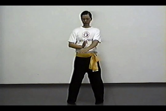 Wing Chun with Terence Yip Chum Kiu Part 3