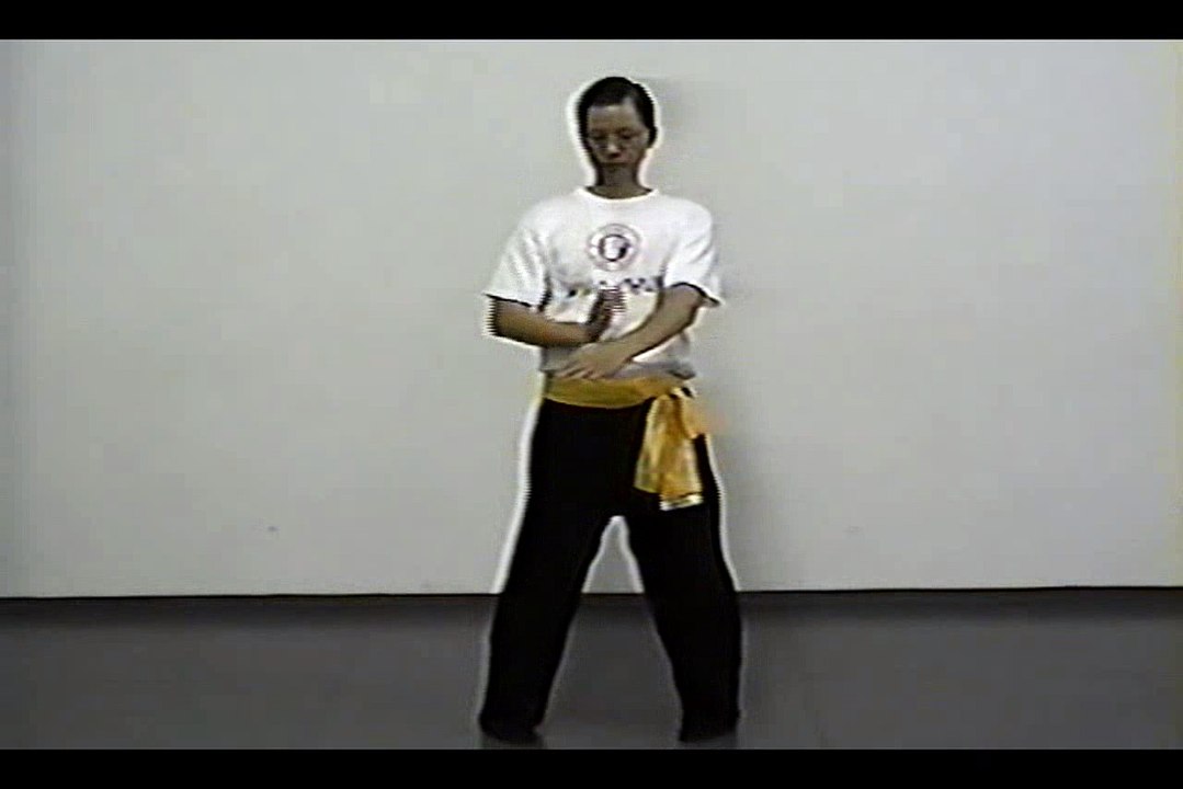 Wing Chun with Terence Yip Chum Kiu Part 3
