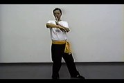 Wing Chun with Terence Yip Chum Kiu Part 4