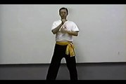 Wing Chun with Terence Yip Chum Kiu Part 5