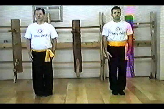 Wing Chun with Terence Yip Chum Kiu Part 6