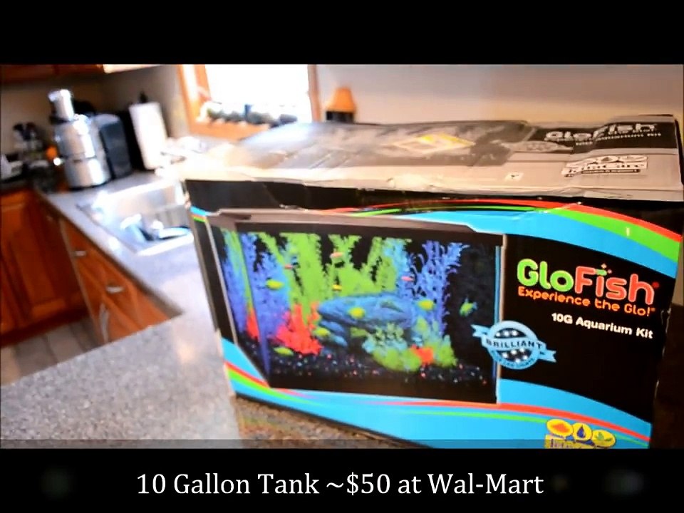 GloFish Aquarium Set Up Part 1 LED Lights