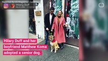 Hilary Duff Adopts Adorable Senior Dog With Boyfriend Matt Koma
