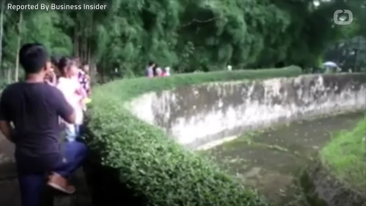 Orangutan Smokes Cigarette At Indonesian Zoo