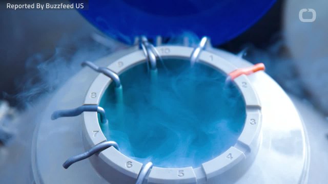 Fertility Clinic May Have Accidentally Destroyed Thousands Of Eggs & Embryos