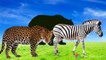 Wild animals for kids | Learning Wild Animals Names and Sounds for kids | Animals learn for kids